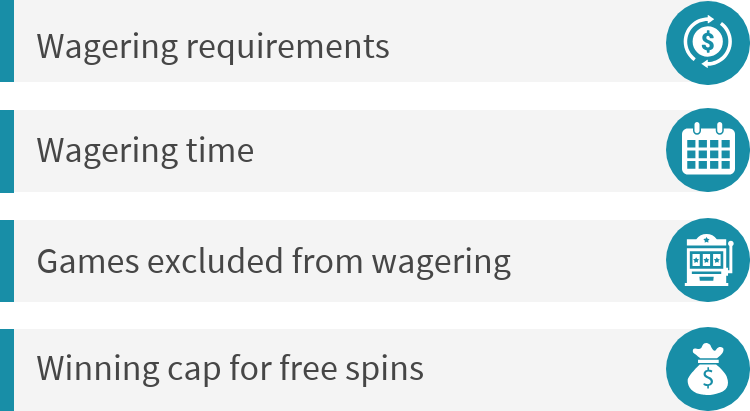 Free spin offer terms